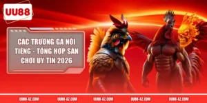 Các trường gà nổi tiếng