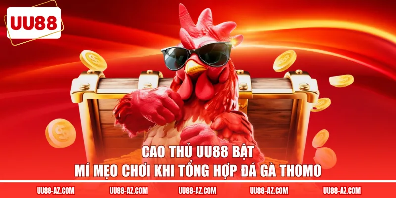 Cao thủ UU88 bật mí mẹo chơi khi tổng hợp đá gà Thomo 